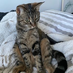 Meet your Posher, Caitlin